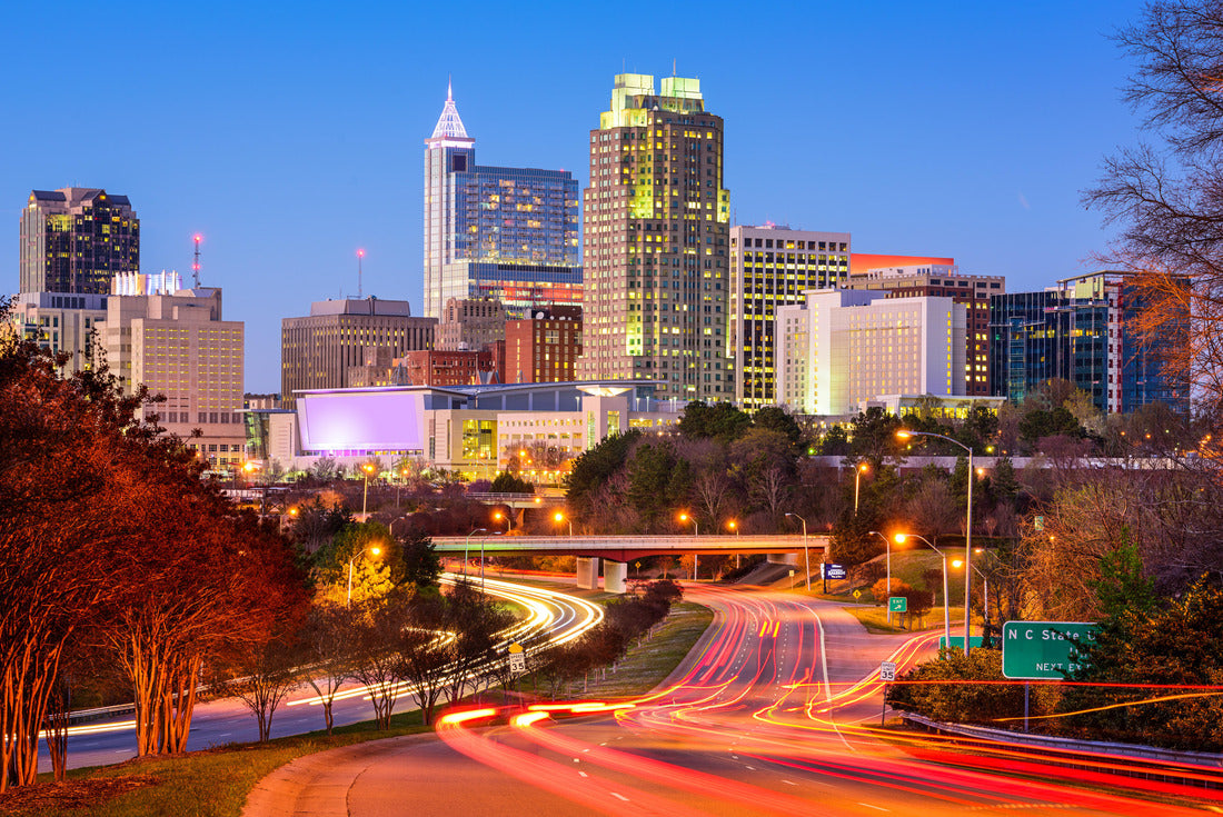 Noah Jigsaw Puzzle Raleigh, North Carolina, USA downtown city skyline 2000 pieces