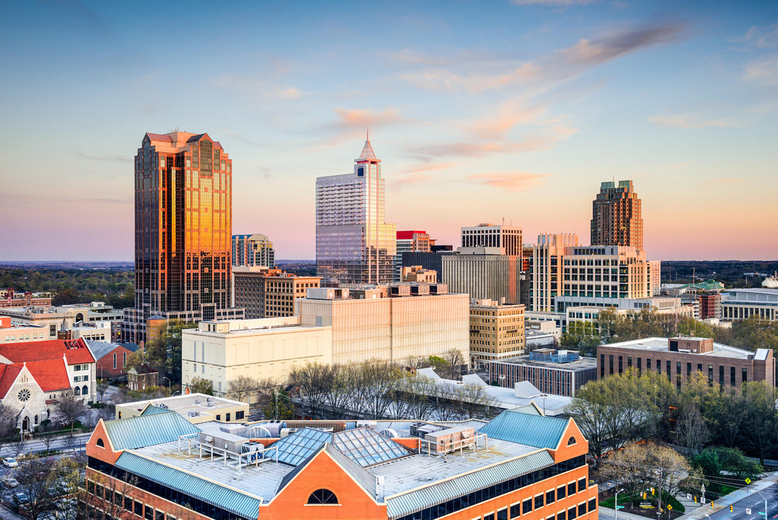 Noah Jigsaw Puzzle Raleigh, North Carolina, USA downtown city skyline 2000 pieces