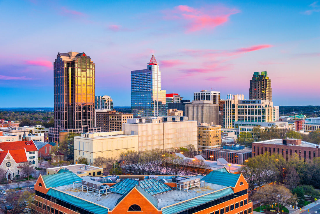 Noah Jigsaw Puzzle Raleigh, North Carolina, USA downtown city skyline 2000 pieces