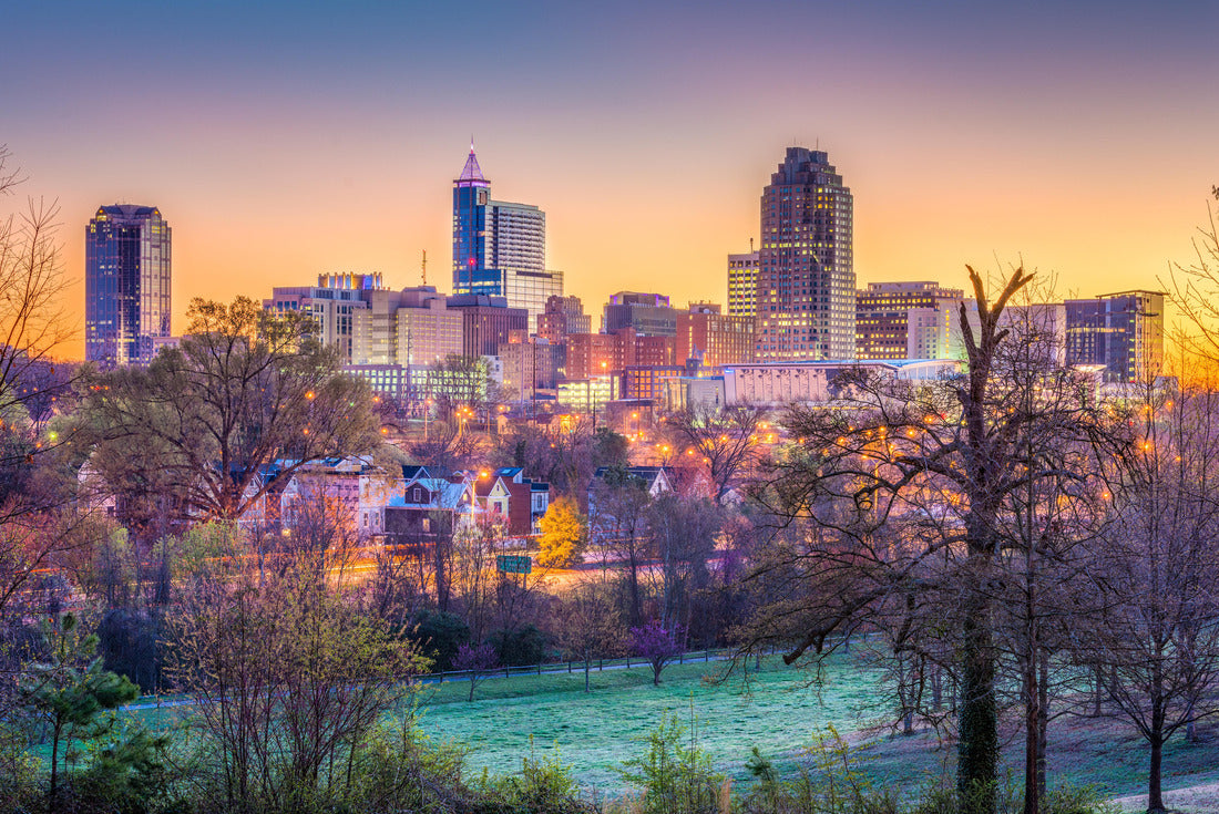 Noah Jigsaw Puzzle Raleigh, North Carolina, USA downtown city skyline 2000 pieces