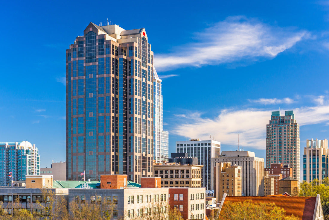 Noah Jigsaw Puzzle Raleigh, North Carolina, USA downtown city skyline 2000 pieces