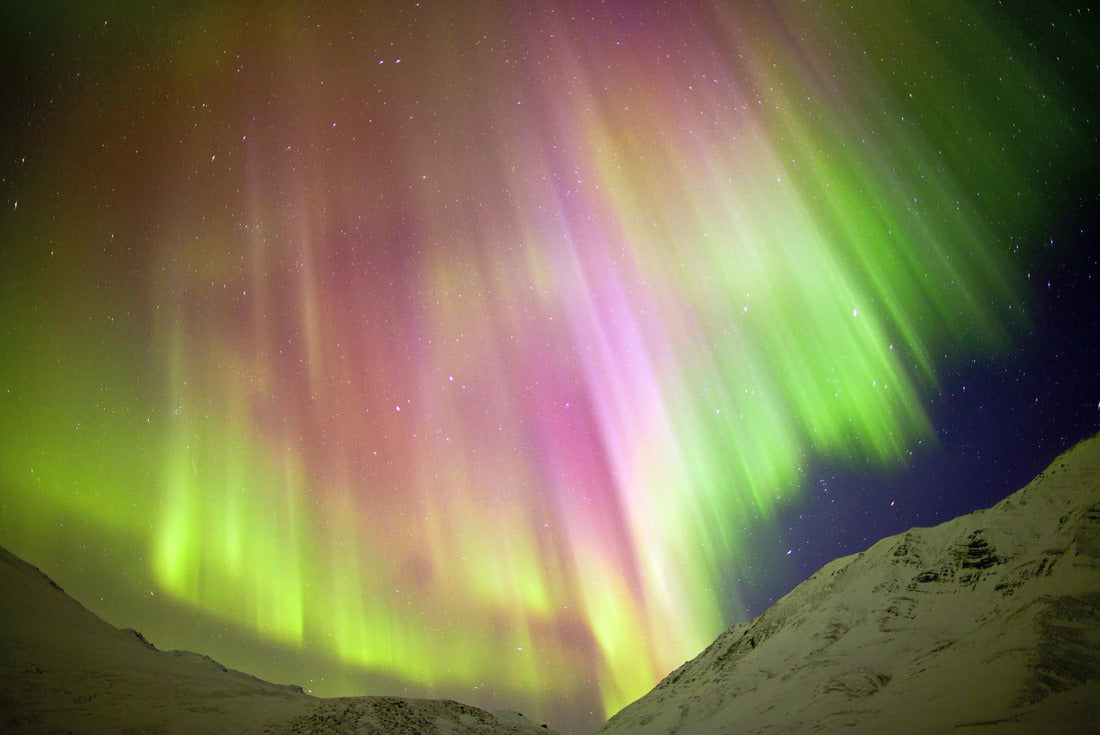 Noah Jigsaw Puzzle Aurora Borealis or Northampen on the Dalton Highway 2000 pieces