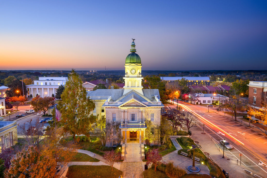 Noah Jigsaw Puzzle Athens, Georgia, USA downtown cityscape at city hall 2000 pieces