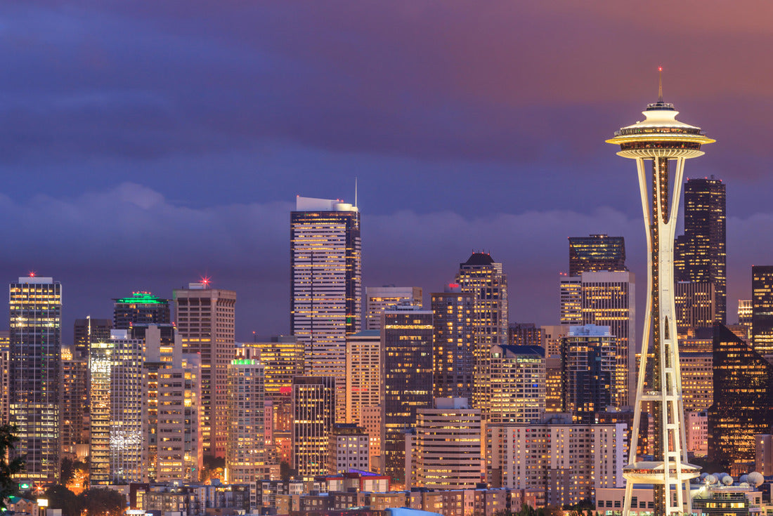 Noah Jigsaw Puzzle View of the Seattle city from Kerry Park, Washington 2000 pieces