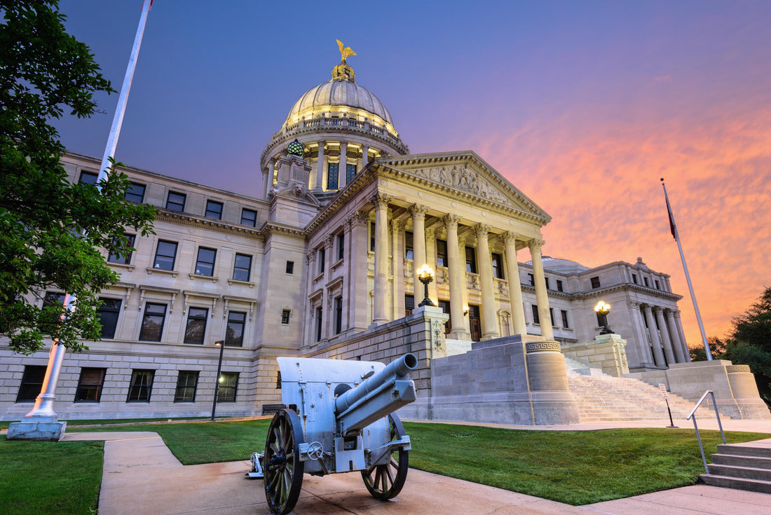 Noah Jigsaw Puzzle Mississippi State Capitol in Jackson, Mississippi, USA 2000 pieces