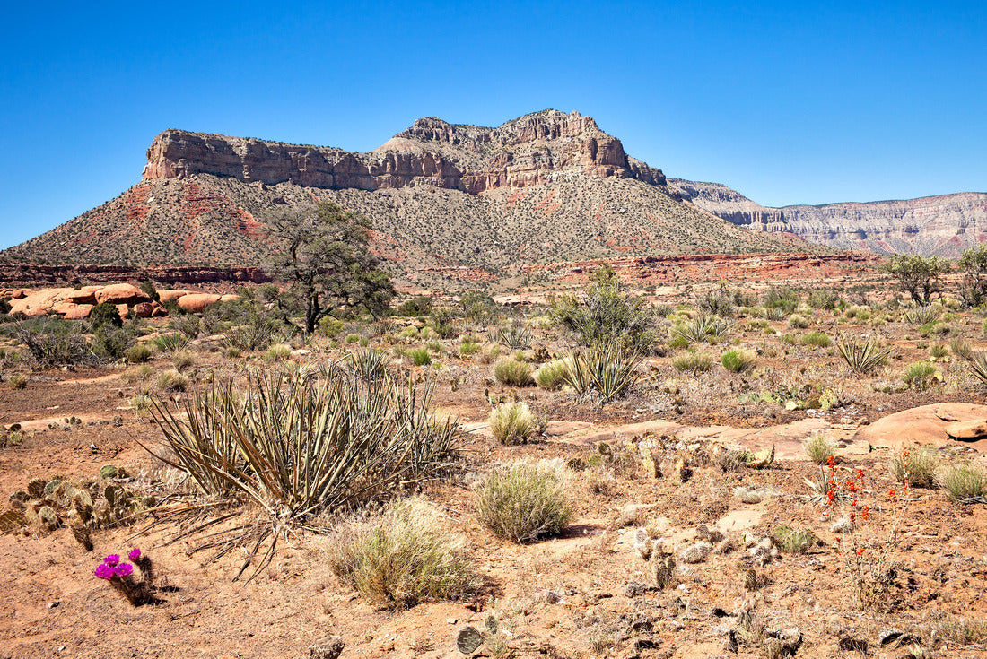 Noah Jigsaw Puzzle Toroweap Point in Grand Canyon Parashant National Monument 2000 pieces