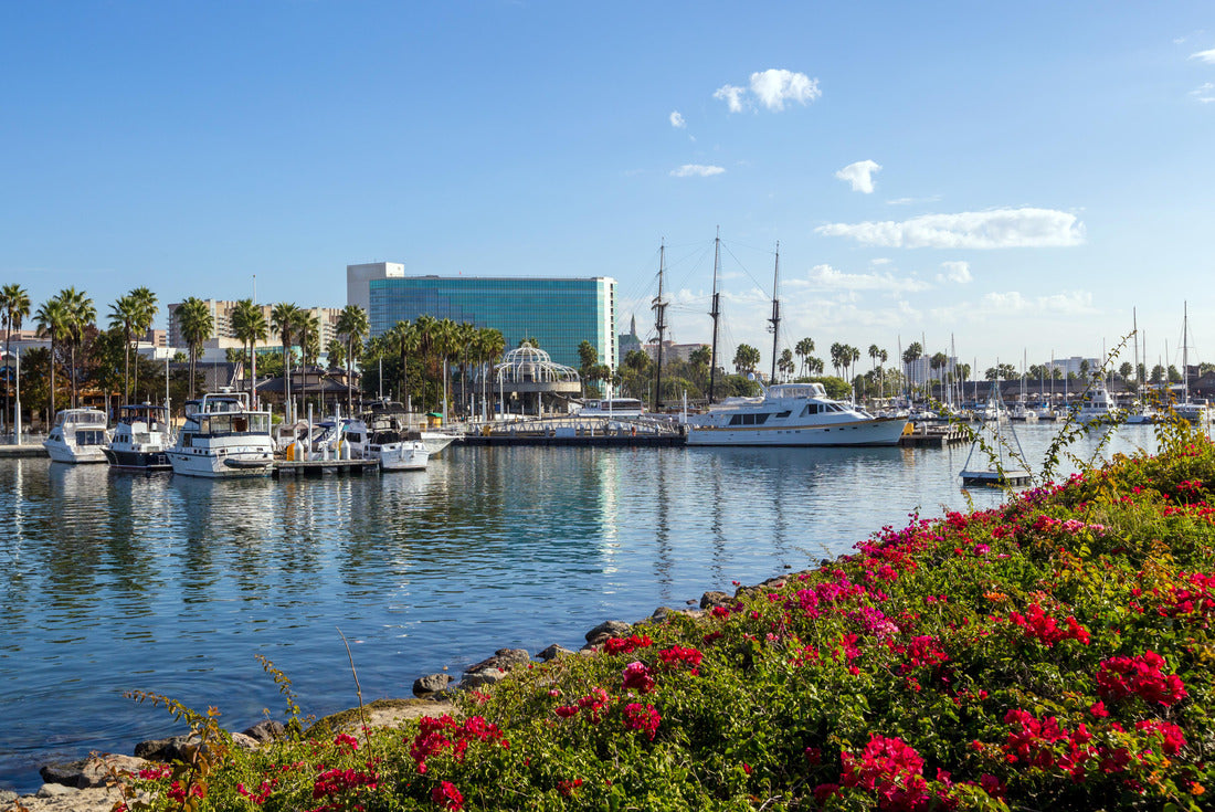 Noah Jigsaw Puzzle Long Beach Marina and city skyline, Long Beach, California 2000 pieces