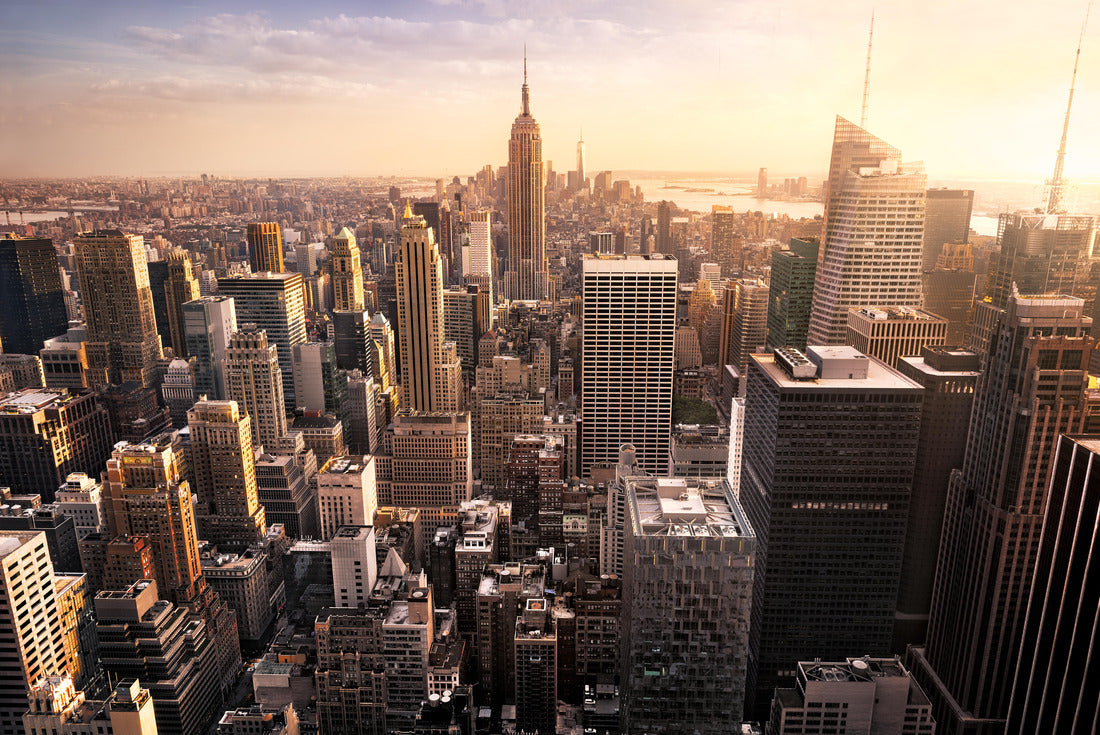 Noah Jigsaw Puzzle New York City skyline with urban skyscrapers at sunset, USA 2000 pieces