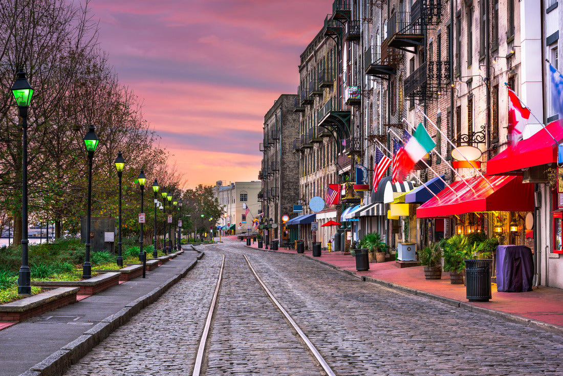 Noah Jigsaw Puzzle Savannah, Georgia, USA Bars and restaurants on River Street 2000 pieces