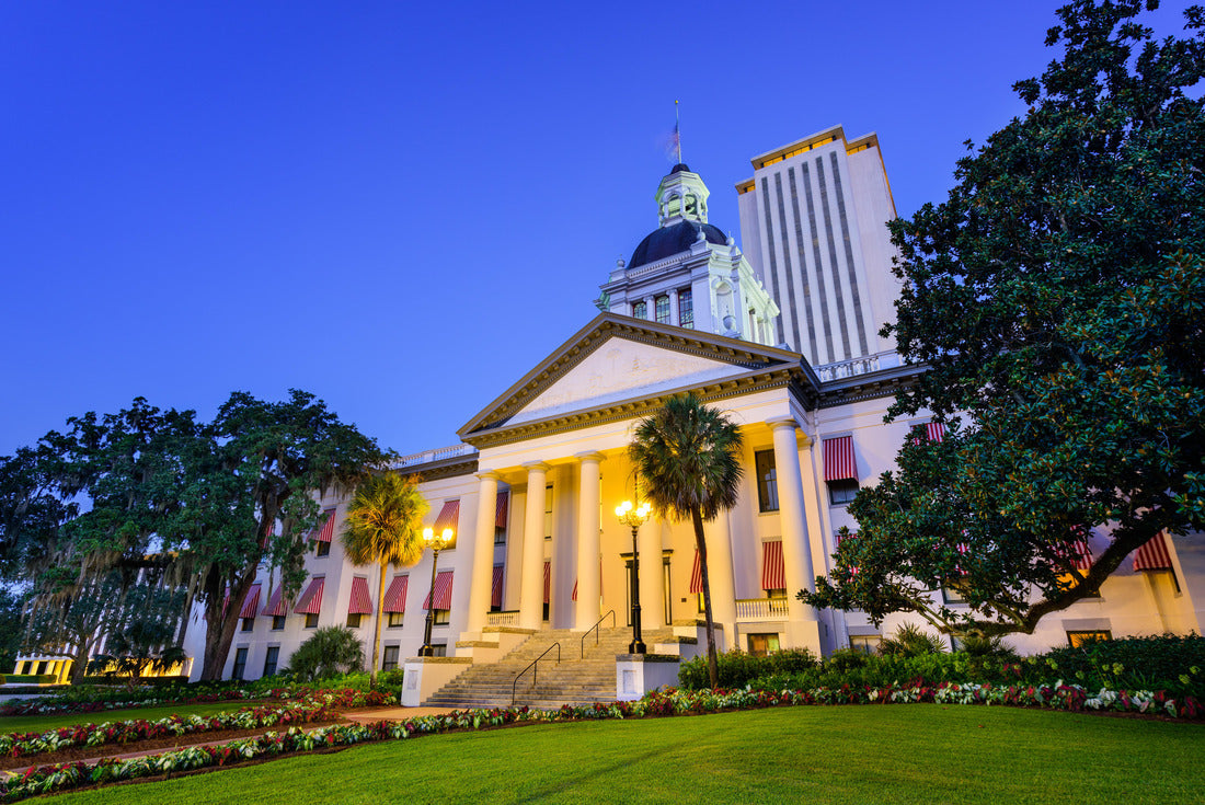 Noah Jigsaw Puzzle Tallahassee, Florida, USA at the Old and New Capitol Building 2000 pieces