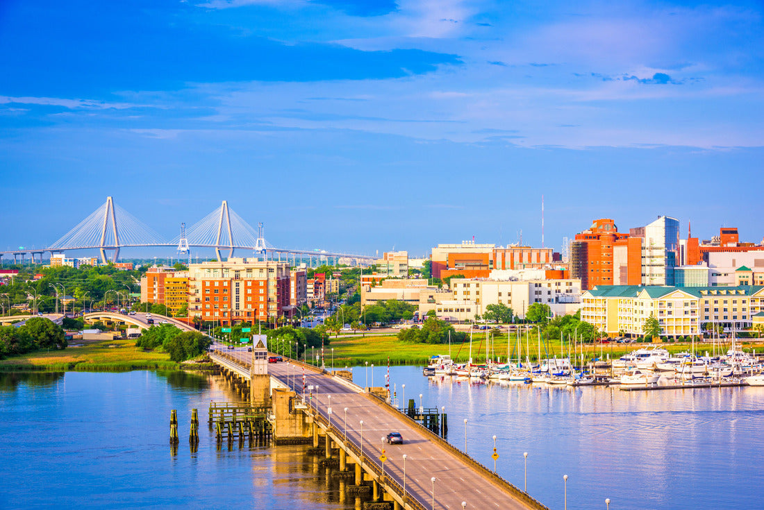 Noah Jigsaw Puzzle Charleston, South Carolina, USA skyline over the Ashley River 2000 pieces