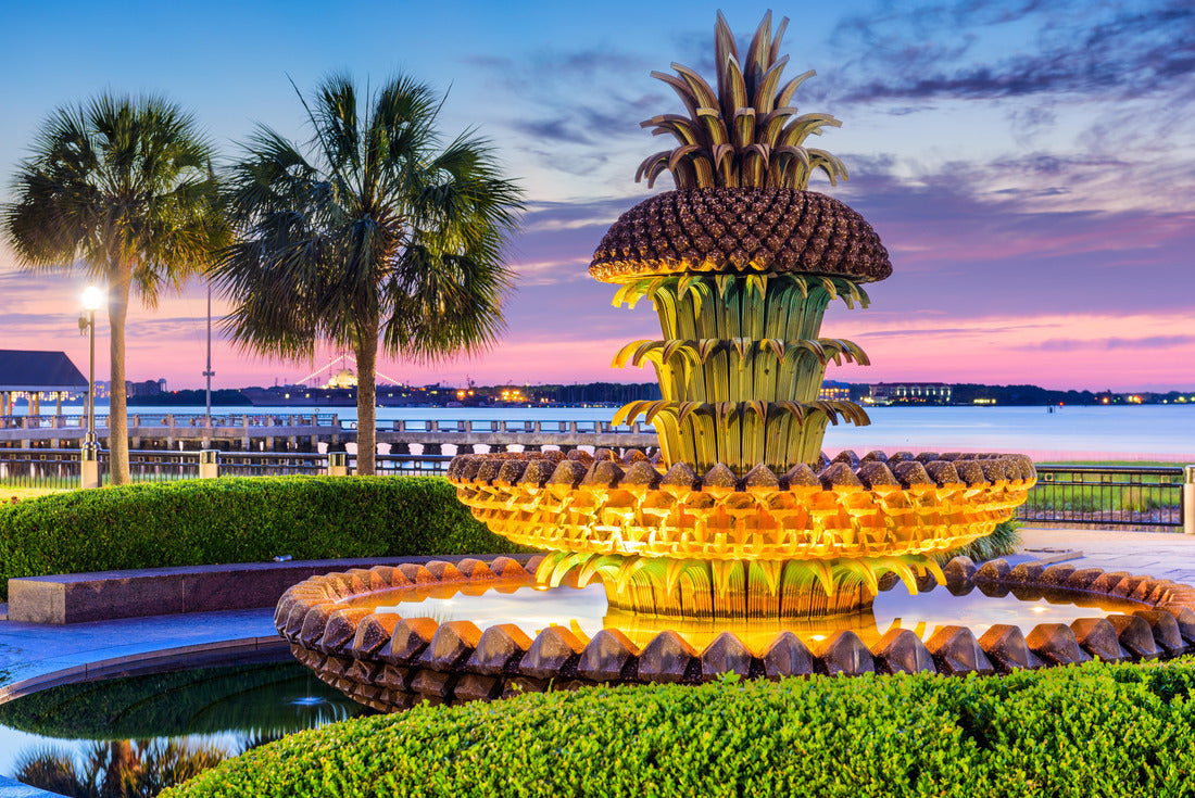 Noah Jigsaw Puzzle Charleston, South Carolina, USA at the Waterfront Park Pineapple Fountain 2000 pieces