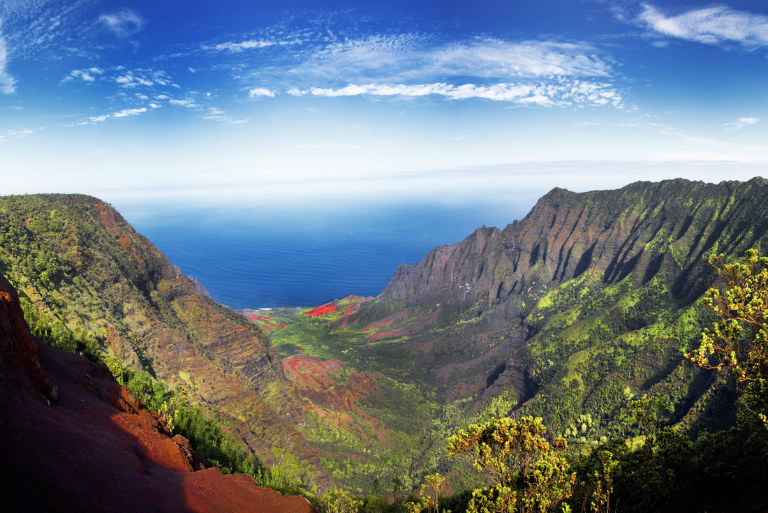 Noah Jigsaw Puzzle Panoramic view of lush green foliage in Weimea Canyon and NaPali Coast, Kauai, Hawaii 2000 pieces