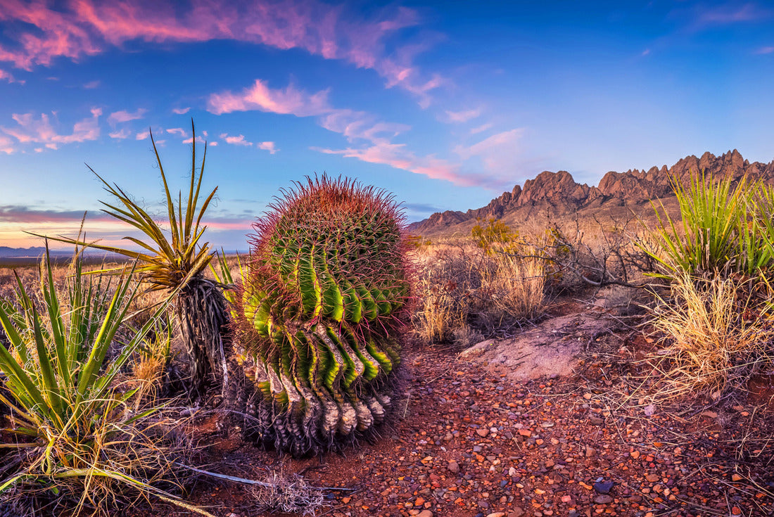 Noah Jigsaw Puzzle Las Cruces New Mexico 2000 pieces