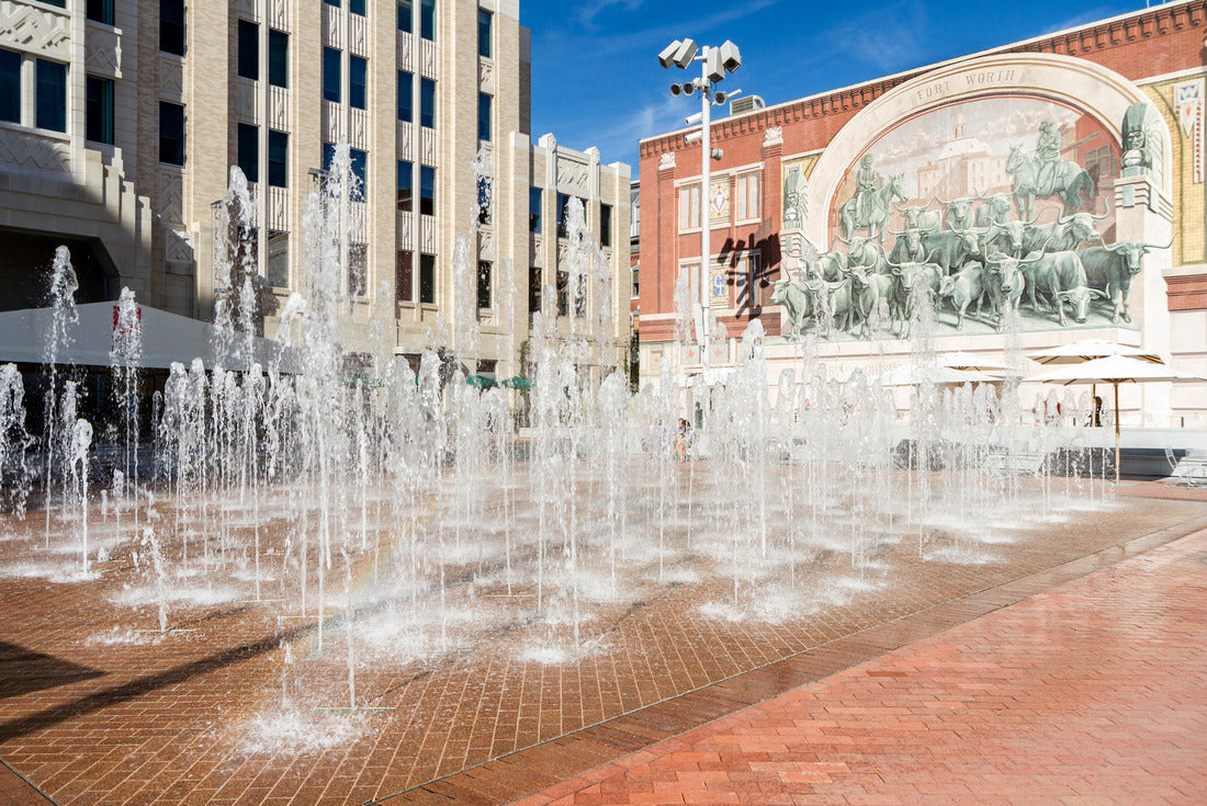 Noah Jigsaw Puzzle City of Fort Worth in Texas 2000 pieces