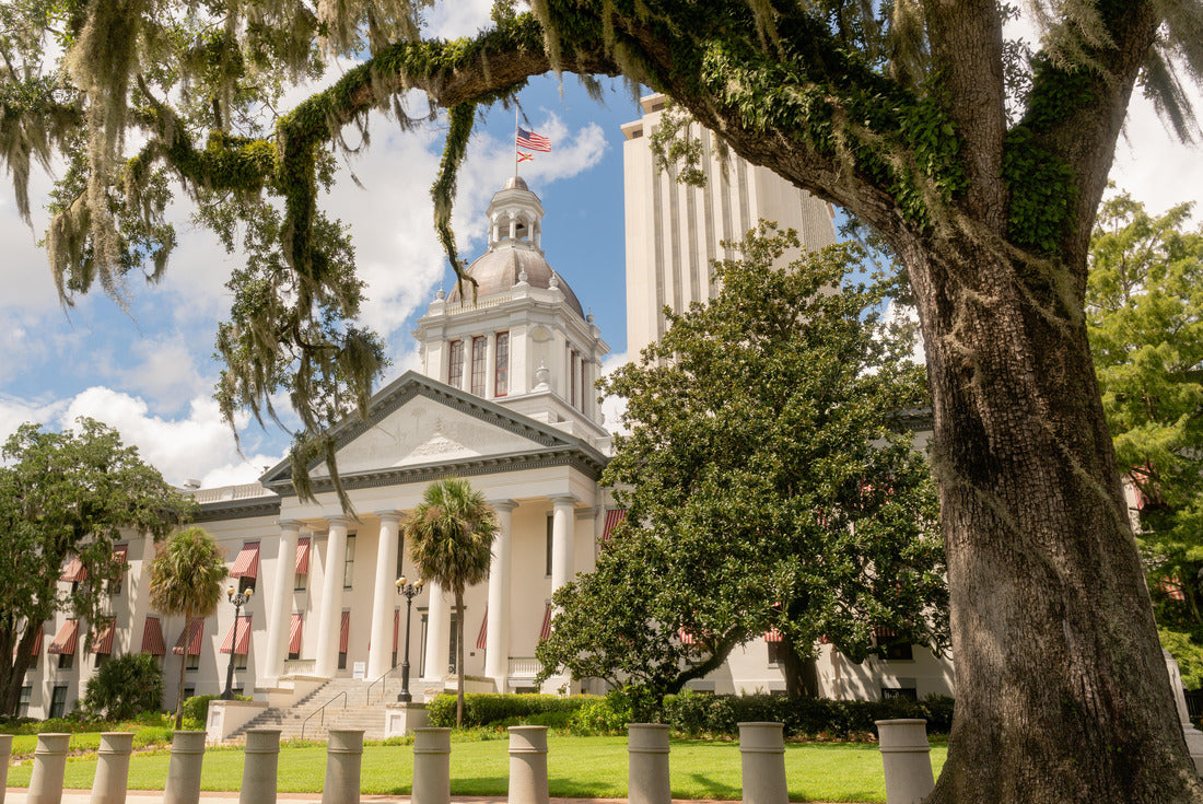 Noah Jigsaw Puzzle Jersey City skyline at sunset 2000 pieces