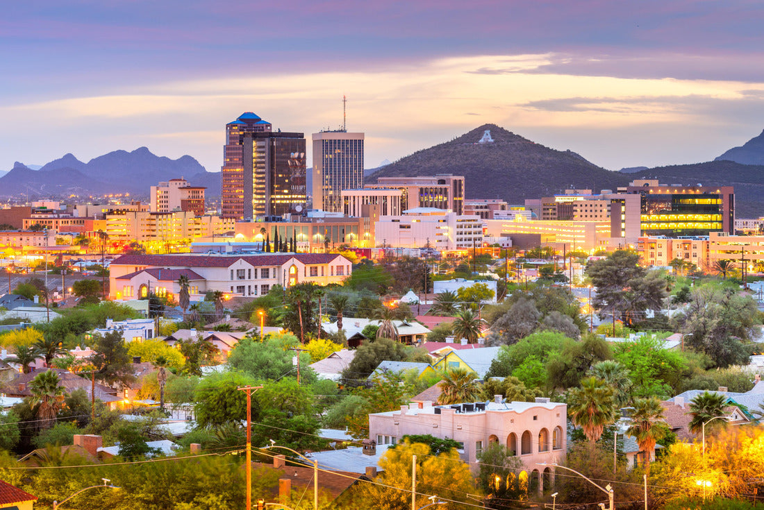 Noah Jigsaw Puzzle Landscape View Glendale Arizona in summer 2000 pieces