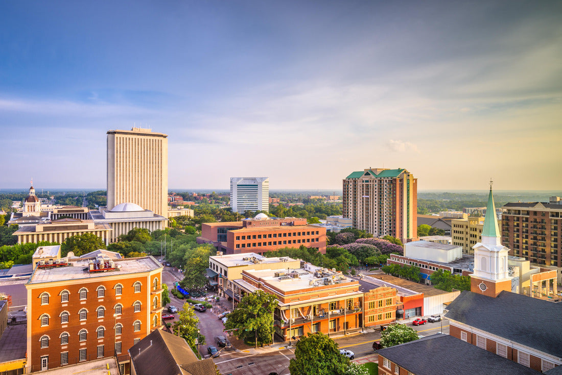 Noah Jigsaw Puzzle Tallahassee, Florida, USA downtown skyline 2000 pieces