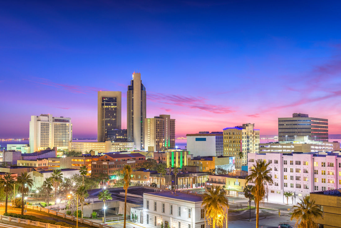 Noah Jigsaw Puzzle Corpus Christi, Texas, USA Skyline at dusk 2000 pieces