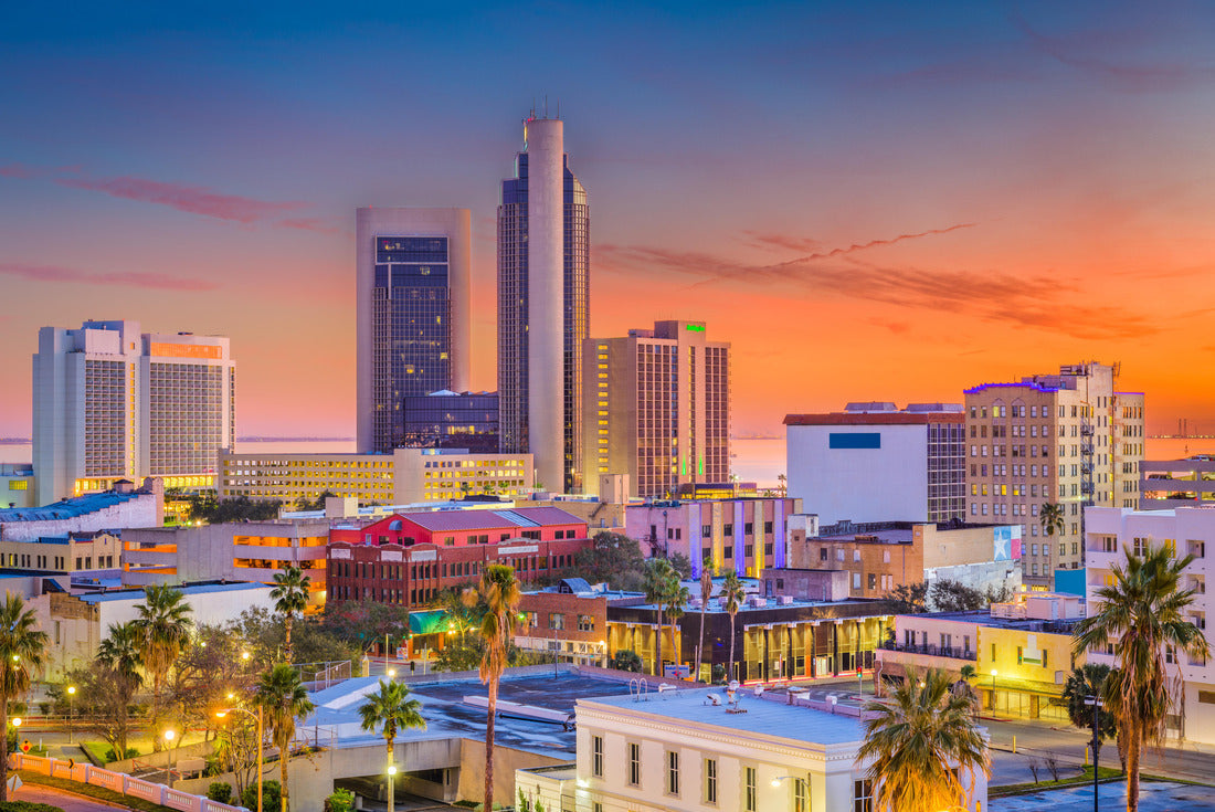Noah Jigsaw Puzzle Corpus Christi, Texas, USA skyline at dusk 2000 pieces