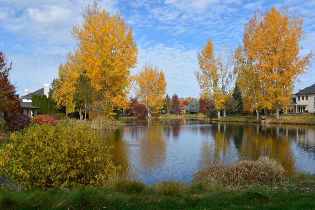 Noah Jigsaw Puzzle Montgomery County Courthouse, Clarksville, Tennessee 2000 pieces