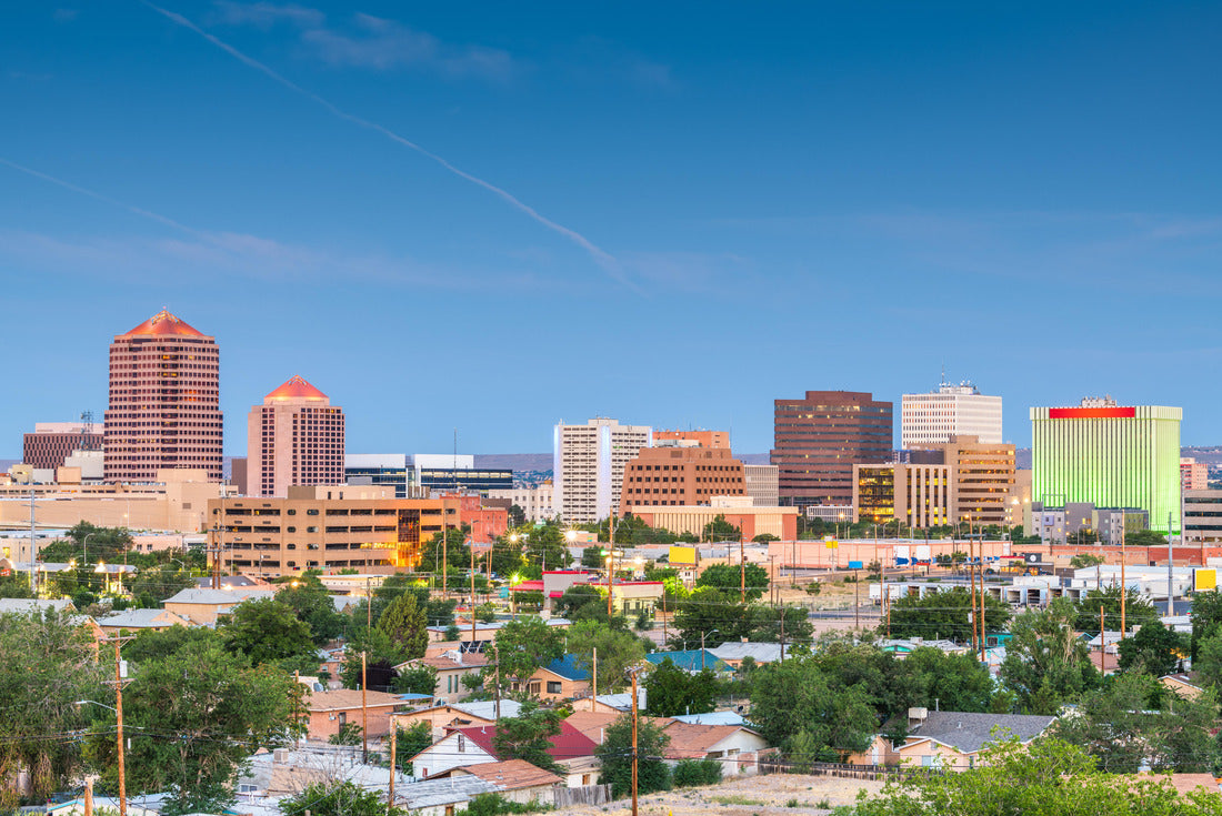 Noah Jigsaw Puzzle Nashville Tennessee TN Drone Skyline Aerial Panorama 2000 pieces