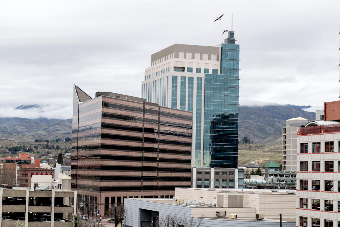 Noah Jigsaw Puzzle Downtown Boise Idaho skyline with two geese flying by 2000 pieces