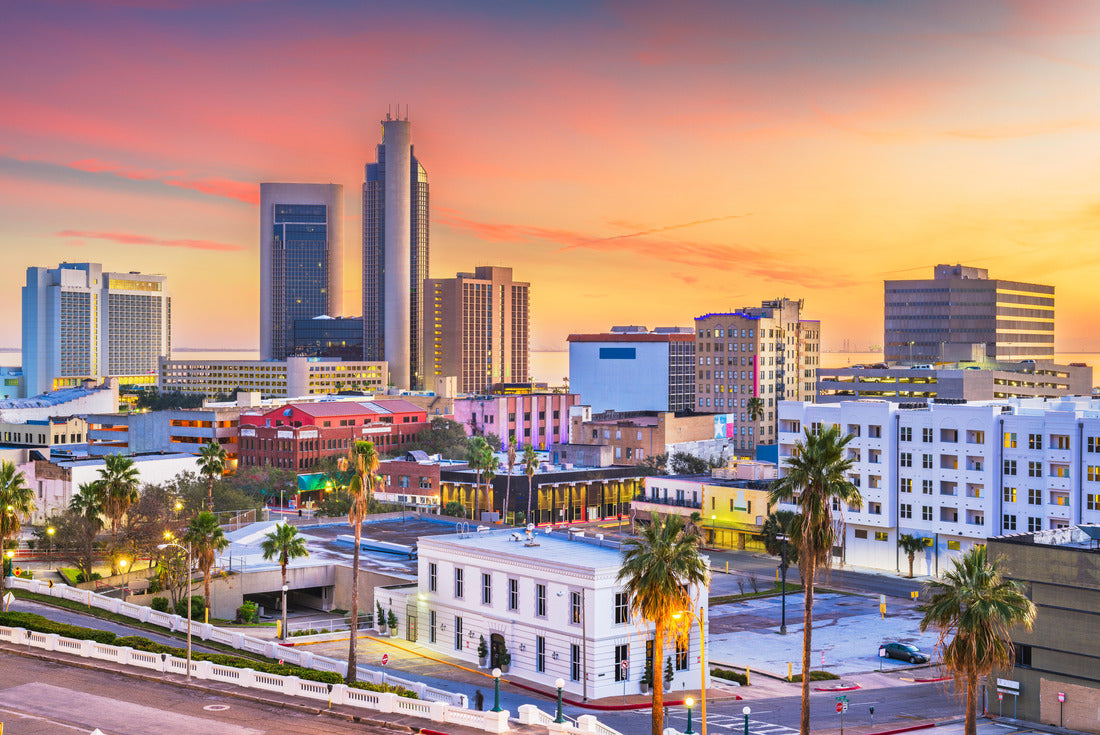Noah Jigsaw Puzzle Houston, Texas, USA Downtown park and skyline at dusk 2000 pieces