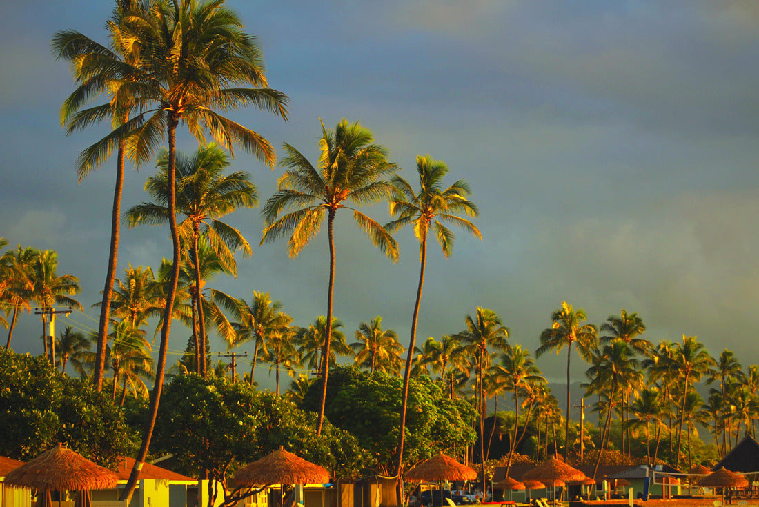 Noah Jigsaw Puzzle Hernando de Soto Bridge at sunset in Memphis Tennessee 2000 pieces