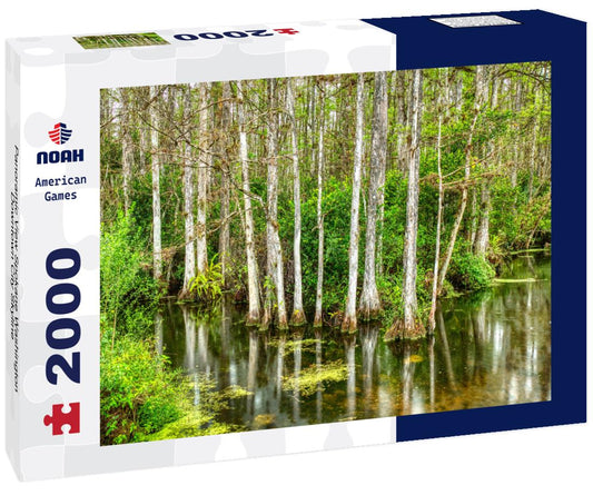 Noah Jigsaw Puzzle Panoramic View Spokane Washington Downtown City Skyline 2000 pieces