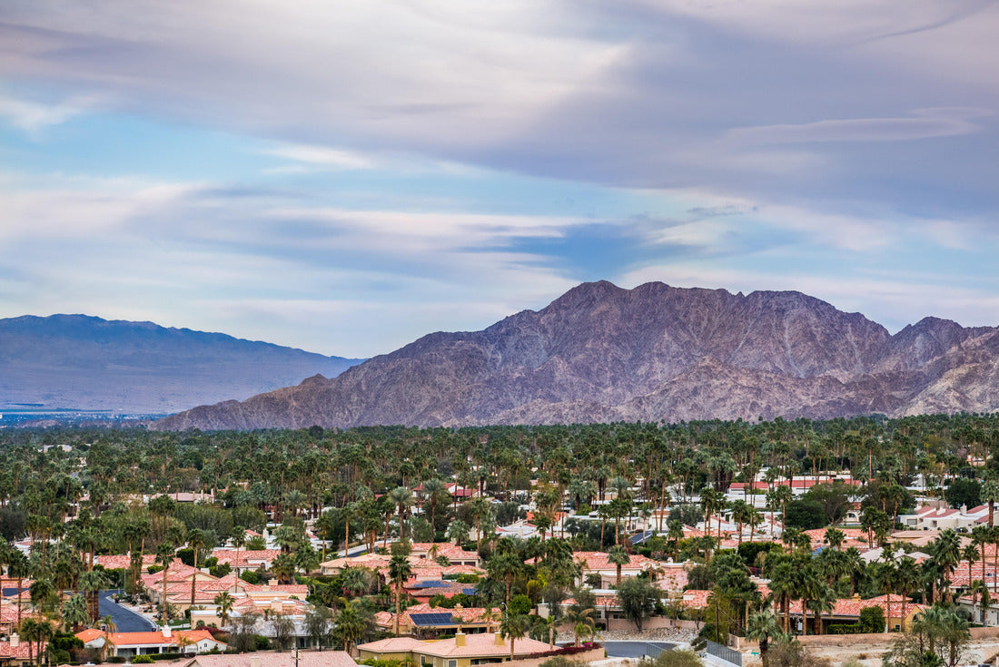 Noah Jigsaw Puzzle Aerial view of residential area in Palm Desert, California 2000 pieces