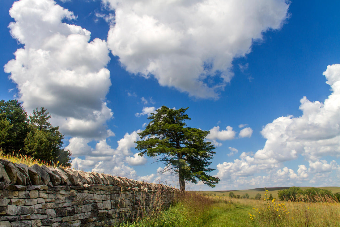 Noah Jigsaw Puzzle Philadelphia, Pennsylvania, USA, Skyline in the city center 2000 pieces