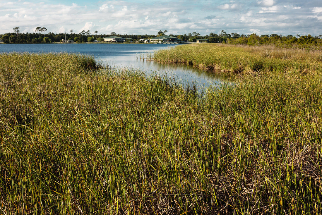 Noah Jigsaw Puzzle Middle Lake, at Gulf State Park, Gulf Shores, Alabama 2000 pieces