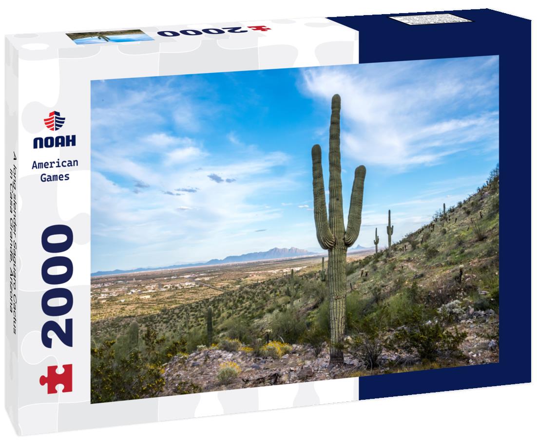 Noah Jigsaw Puzzle A long slender Saguaro Cactus in Casa Grande, Arizona 2000 pieces