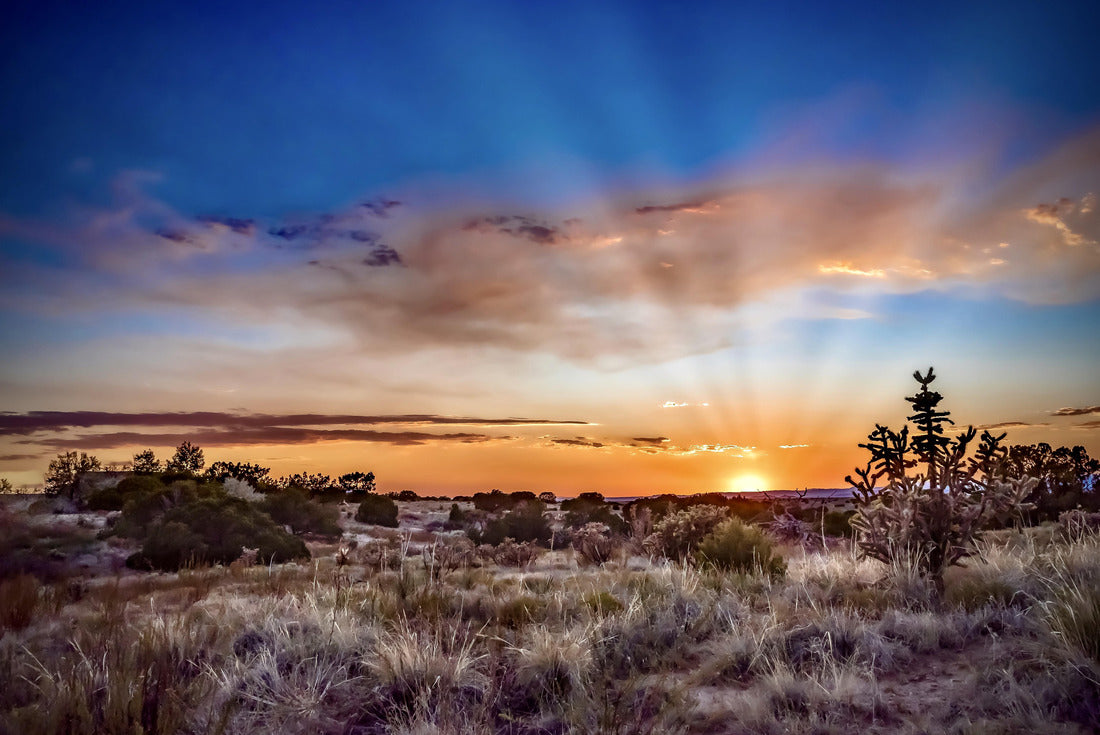 Beautiful sunset over a field in Santa Fe, New Mexico 2000pc Puzzle