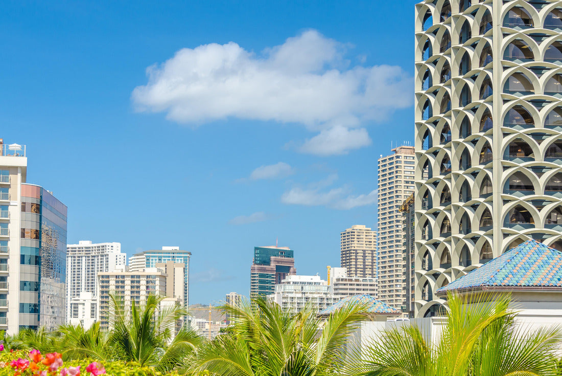 Palm trees and building tops in Honolulu, Hawaii, USA 2000pc Puzzle