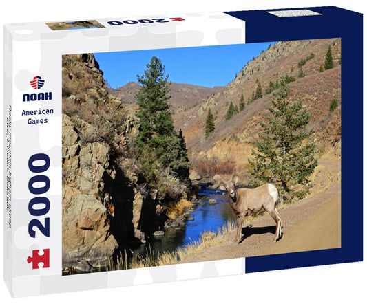 Noah Jigsaw Puzzle Rocky mountain bighorn sheep ewe, Littleton, Colorado 2000 pieces