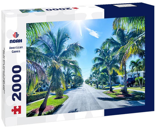Noah Jigsaw Puzzle way to the beach with palm trees in key west florida 2000 pieces