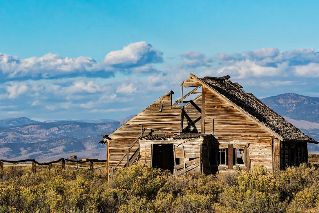 An old abandon ranch home North of Alamosa, Colorado 2000pc Puzzle