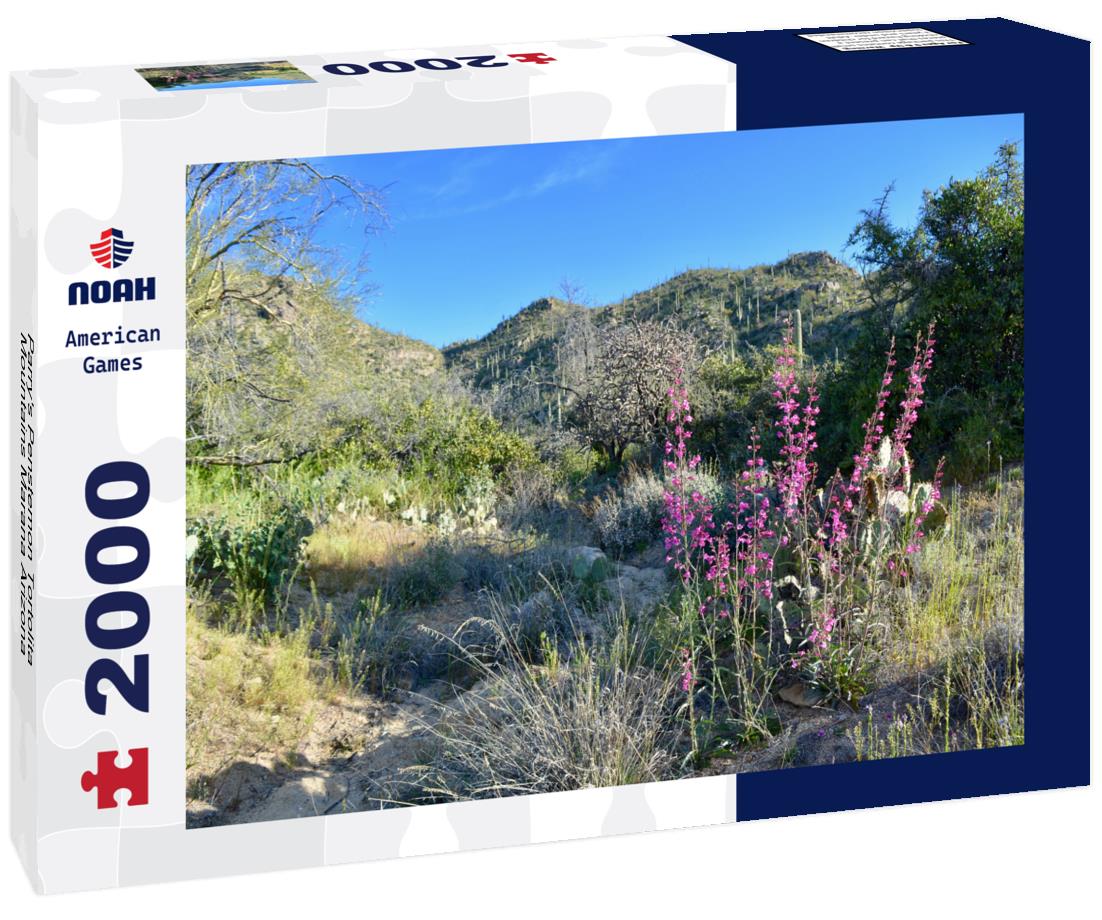 Noah Jigsaw Puzzle Parry's Penstemon Tortolita Mountains Marana Arizona 2000 pieces