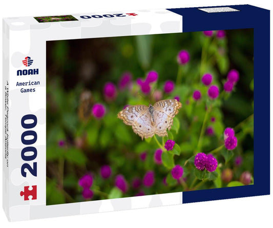 Noah Jigsaw Puzzle A White Peacock butterfly on a flower, Tempe Arizona 2000 pieces