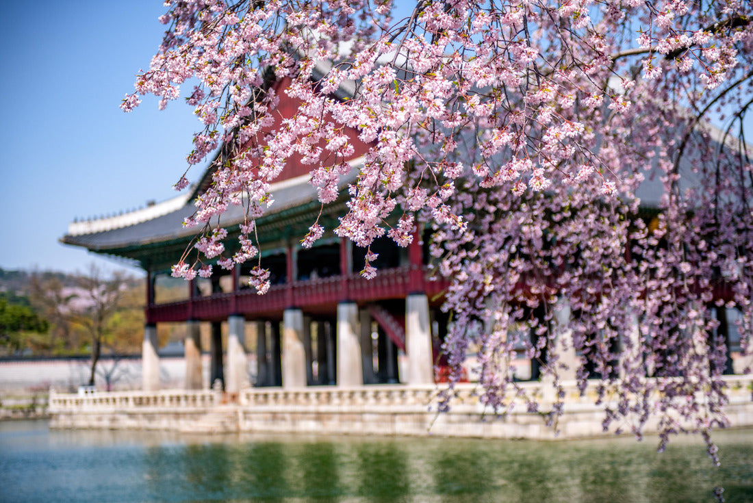 Gyeongbokgung palace in spring at Seoul, South Korea 2000pc Puzzle