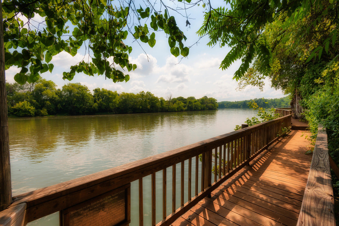Ijam Nature Park Boardwalk along the Tennessee River 2000pc Puzzle