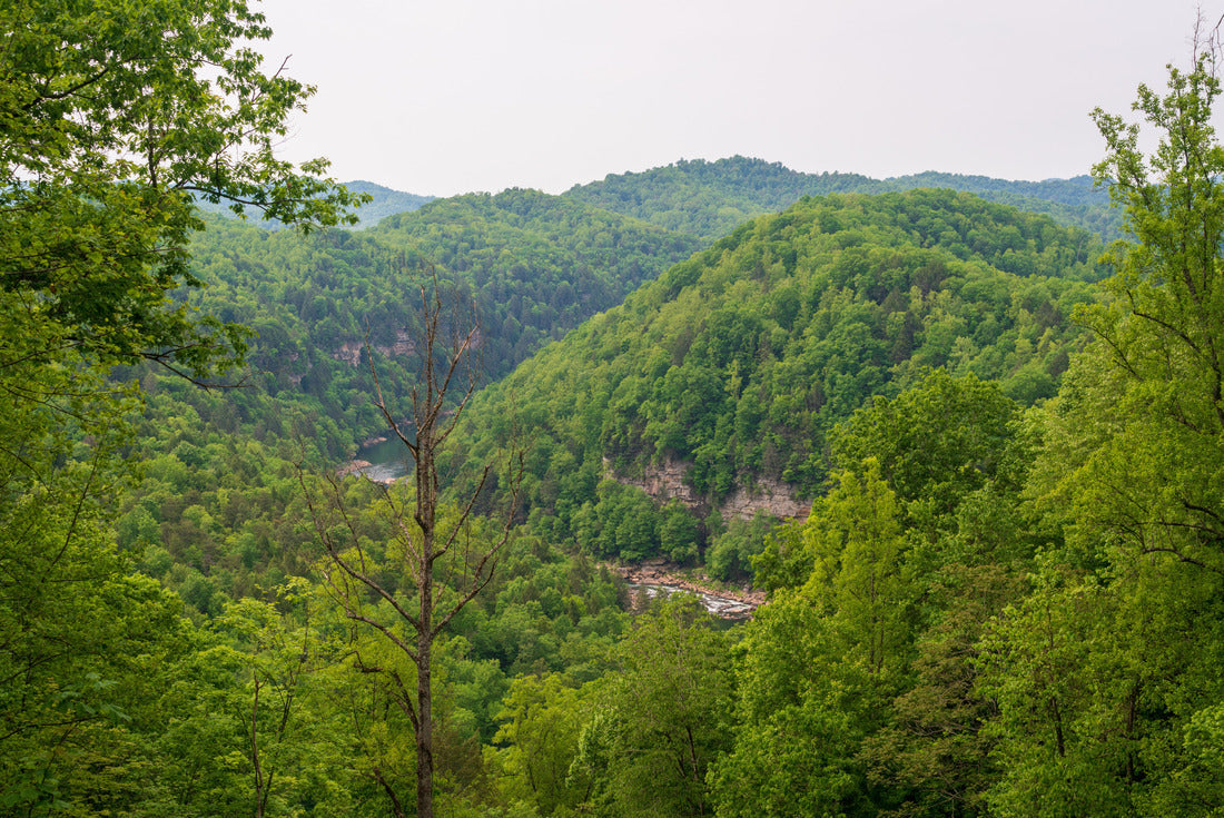 Noah Jigsaw Puzzle Gauley River National Recreation Area, West Virginia 2000 pieces