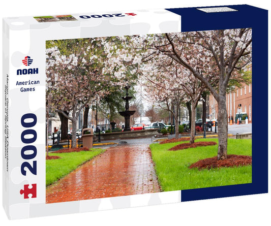 Noah Jigsaw Puzzle Macon, Georgia, USA Downtown Square in Spring Season 2000 pieces