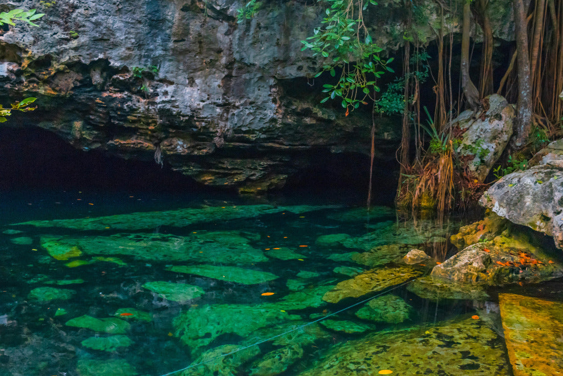 Fullshot of a beautiful clear water cenote in Mexico 2000pc Puzzle