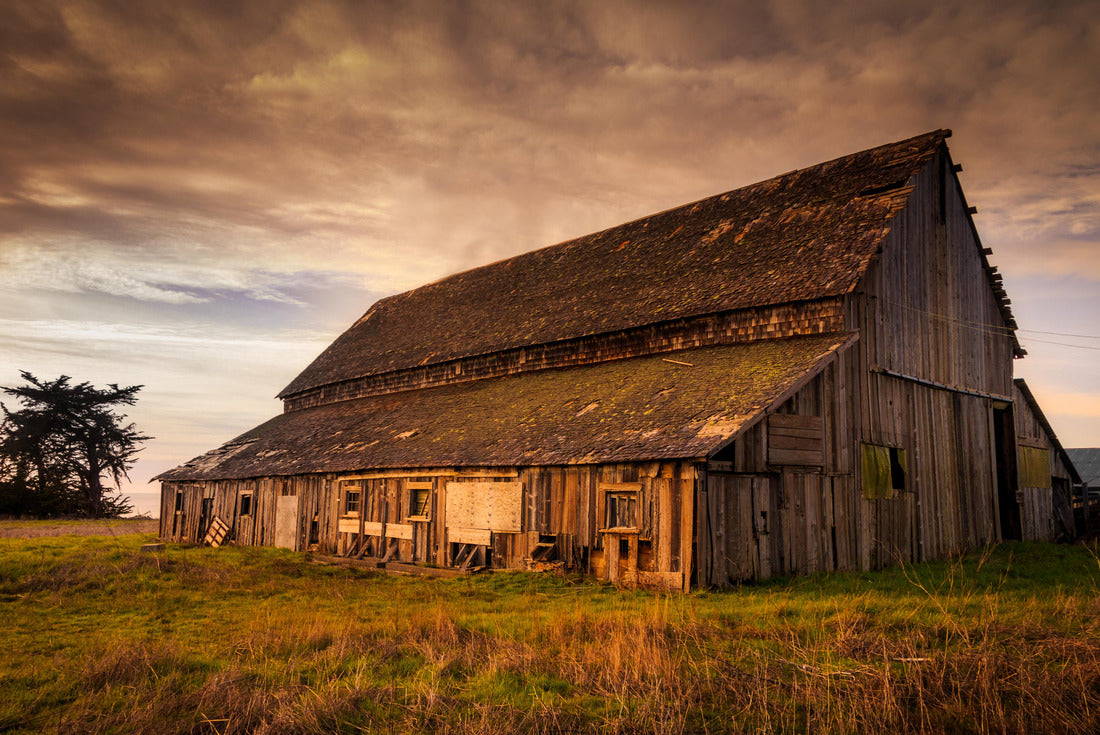 Abandoned Barn on the Mendocino Coast of California 2000pc Puzzle