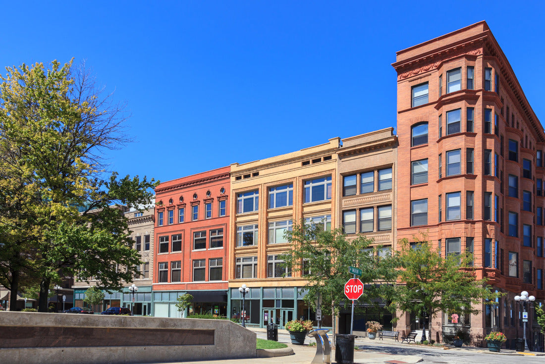 Noah Jigsaw Puzzle Buildings in historic downtown Bloomington Illinois 2000 pieces