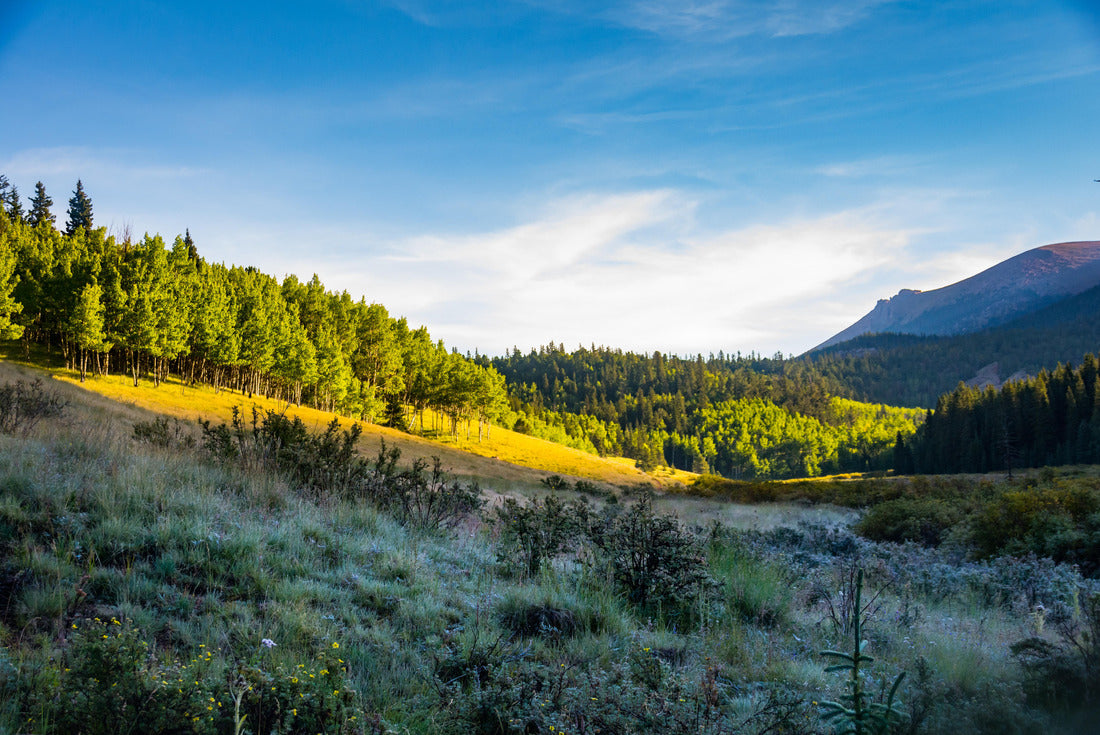 Noah Jigsaw Puzzle Sunrise and shadow at Pike national forest Colorado 2000 pieces