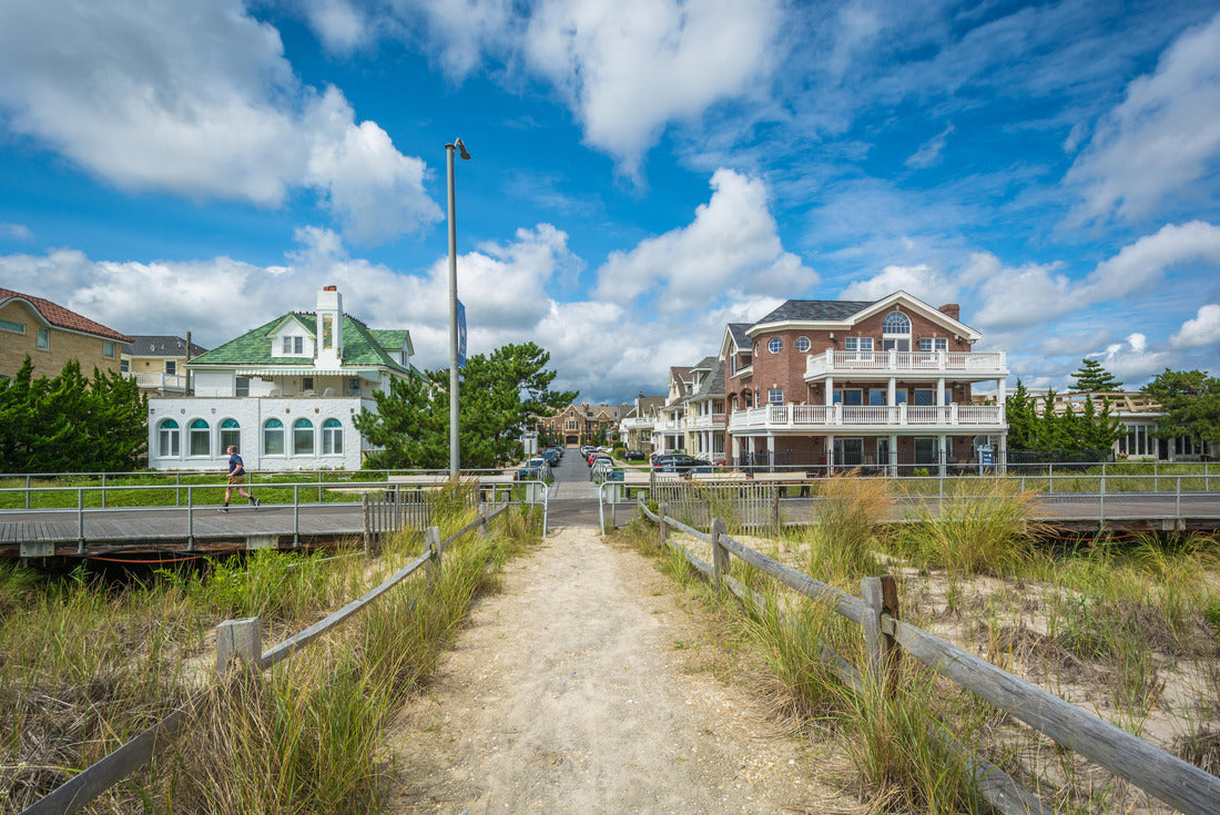 Noah Jigsaw Puzzle Path through sand dunes in Ventnor City, New Jersey 2000 pieces